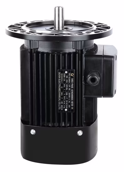 380V Ie2 MS Series 180W Алюминиевый корпус Трехфазный асинхронный индукционный электродвигатель