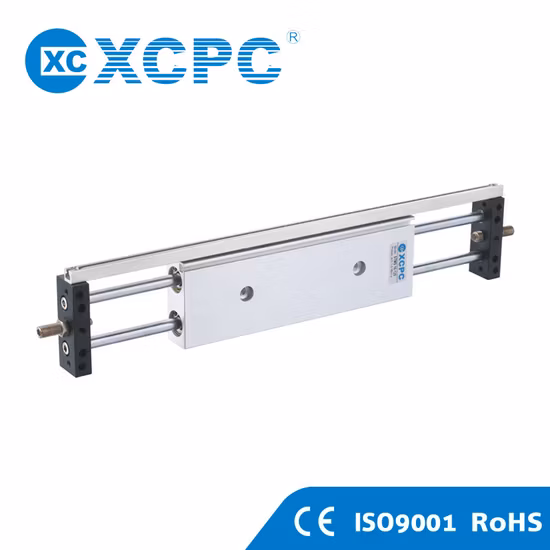 Цилиндр с двойным валом серии Cxs